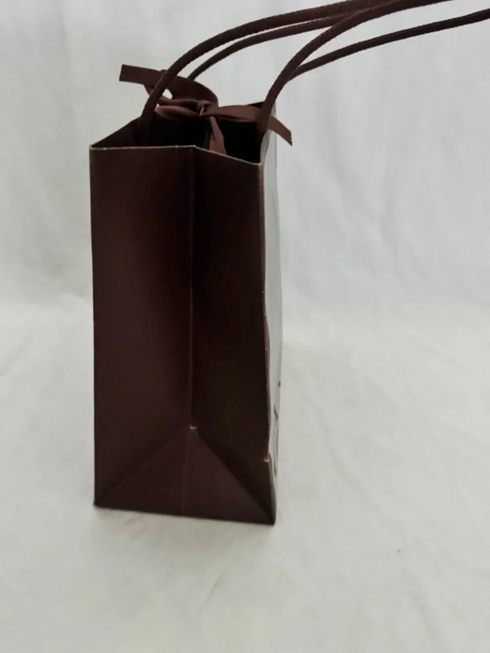 Canale Reusable Paper Shopping Bag Gift Rope Handle 9.5